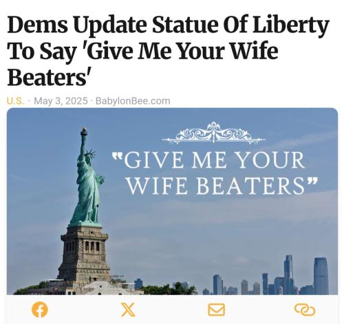 Screenshot_20250505_115152_Samsung Internet