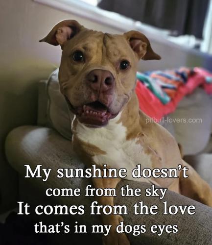 FB_IMG_1748505121710