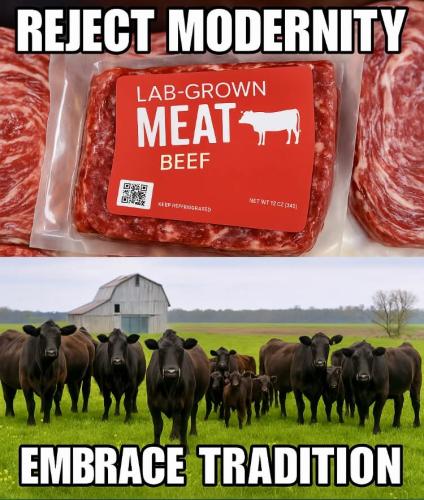 FB_IMG_1748053457761