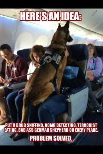 a2b73d41ad6dda22e5e24ce94e537a9a