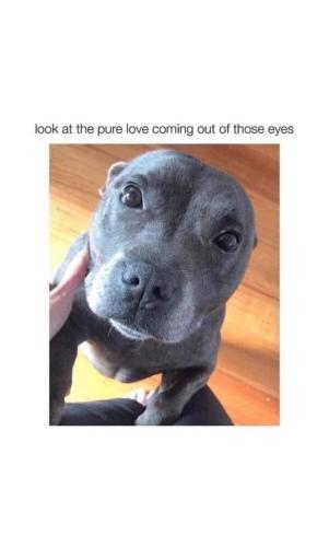 FB_IMG_1746984958018