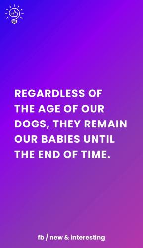 FB_IMG_1747412661708