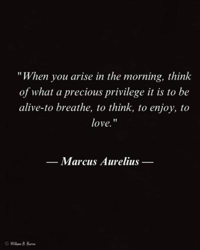 ,          ,  0424775766_746362