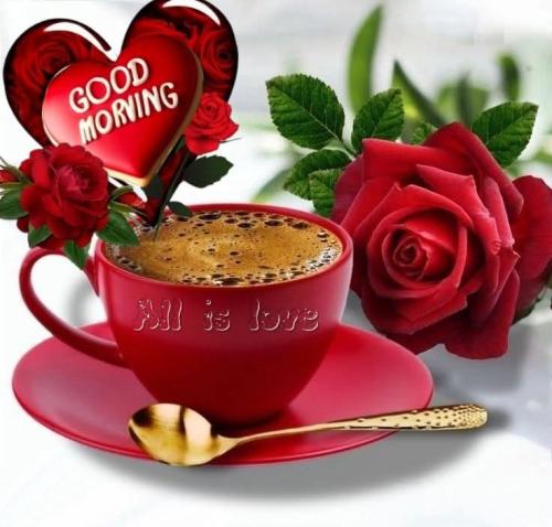 FB_IMG_1746781130774