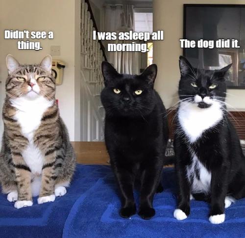 82be18a153ad75133d2ca3ad9ccdaec5