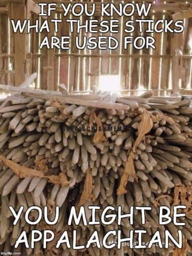 FB_IMG_1557498818344