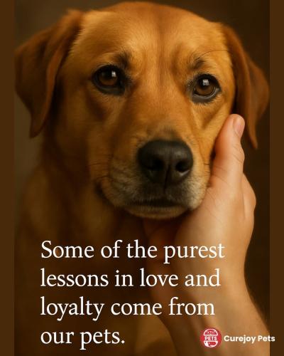 FB_IMG_1746123764995