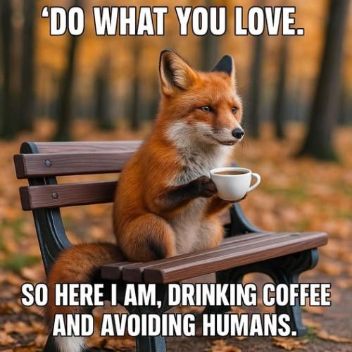 502588914_710646808788583_6864759511369615586_n