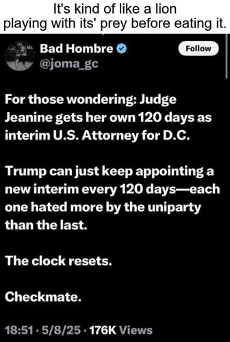 Interim Appointments