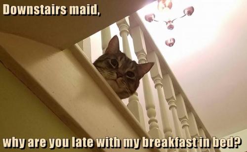 good-help-is-so-hard-to-find