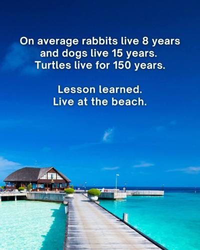 FB_IMG_1746053820386