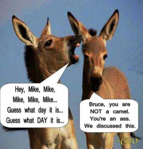 Screenshot_20250528_060539_Gallery