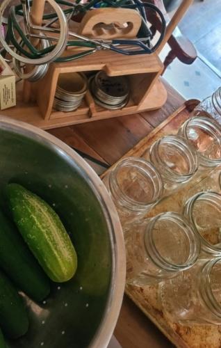 Screenshot_20250513_132612_Gallery