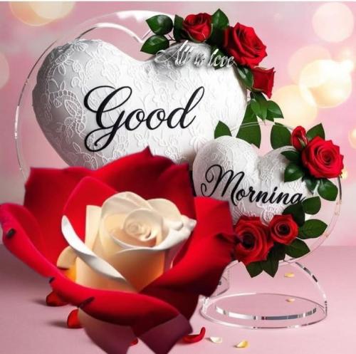 FB_IMG_1747559836738