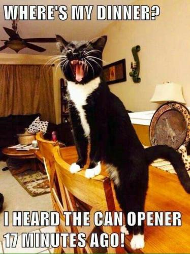 159830edf5e6702955cf30e0a92e3642