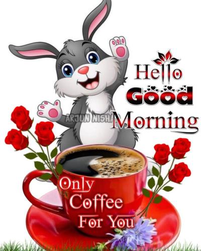 FB_IMG_1748528311136