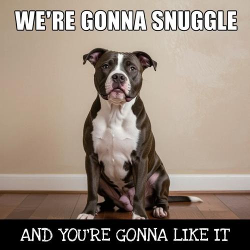 FB_IMG_1748000154413