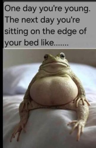 FB_IMG_1744794819146