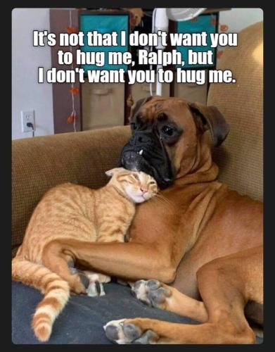 FB_IMG_1746373986506