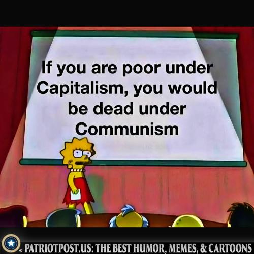 01JVBKXRNGXXZ1C4PRVJFAPW1D