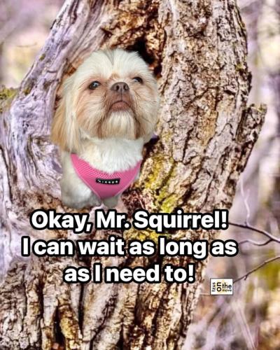 FB_IMG_1746487923802