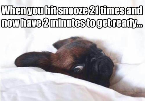 e9b1a63c508cbbc39fa322771f2e3aa4