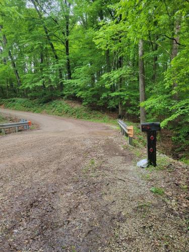 2f121bd6-f69a-4859-bfac-c21cd2f07133