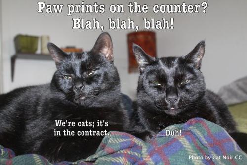 a308b2cd8c935a2b91b78e86a2778a5a