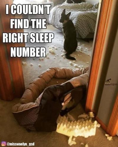 FB_IMG_1746488284346