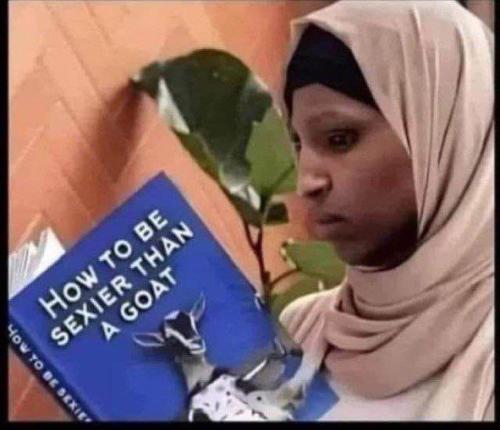 IMG_20250513_174424_493