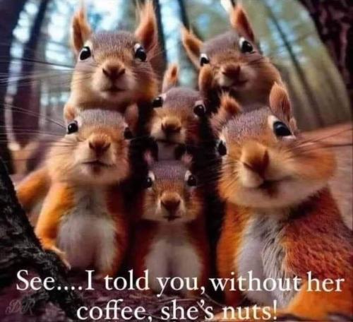 IMG_20250507_002953_313