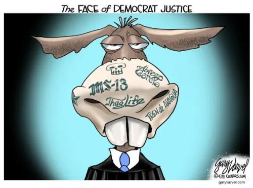 image_2025-05-01_064335826