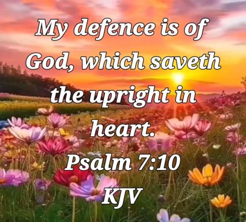 7aa5c2a3-2343-47f8-9855-6298f0759fee