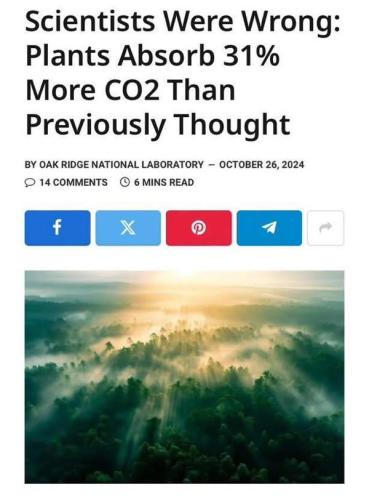 500075373_1156047763232859_4055169431679928502_n