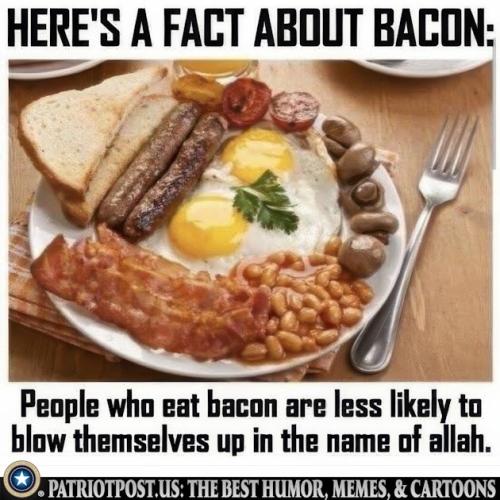 01JTJ04QZVWT48T456DB4YE41E