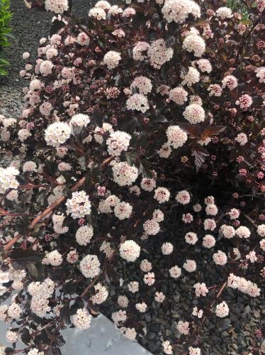 4AF442E3-D807-49FE-B5F4-A1204106E43B