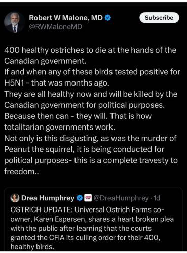 photo_2025-05-16_14-34-25