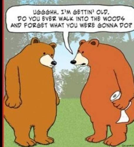 Screenshot_20250517_144306_Gallery