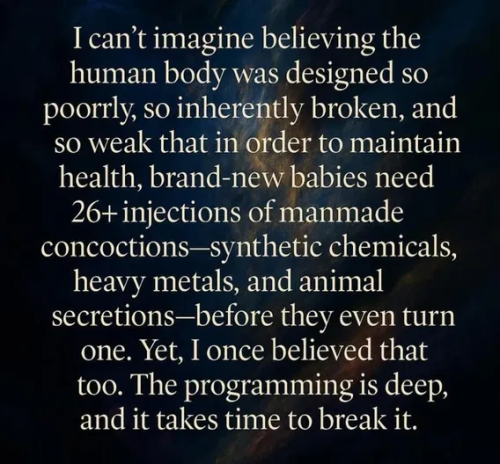 image_2025-05-18_093738824