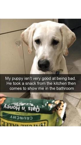 FB_IMG_1748210021455