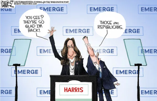 image_2025-05-06_062604434