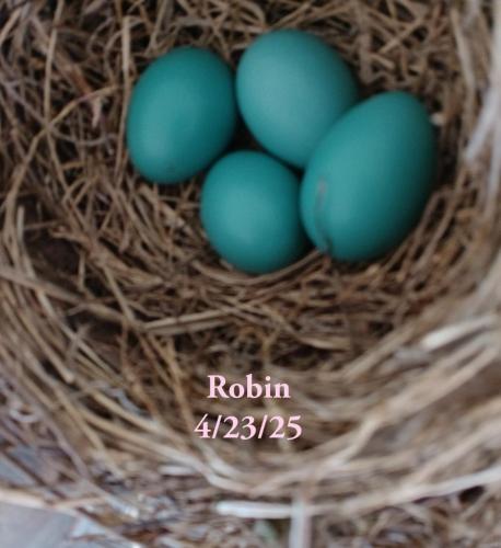 42800c66-bdad-4d82-9943-c212462f5e36