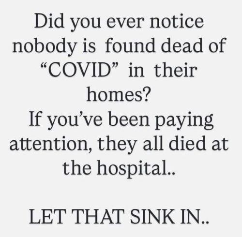 77855a00-0dd4-4776-9870-1dc7406b7e81