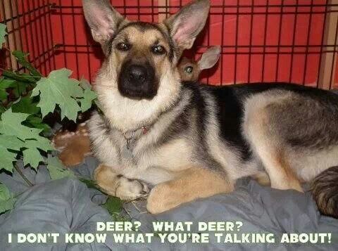 e0c7071c0cbb18240d287697cc6a4a12