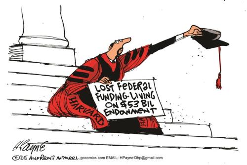 HARVARD ENDOWMENT CARTOON