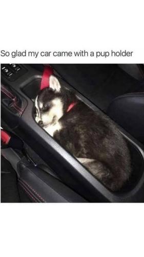 FB_IMG_1748512367344