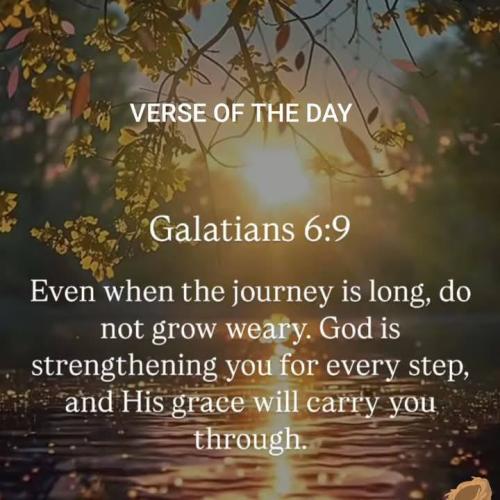 500227123_4212536818982382_393847162757595733_n