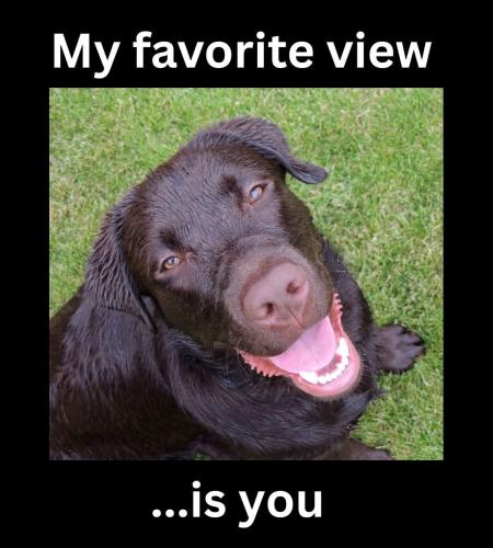 FB_IMG_1748453790425