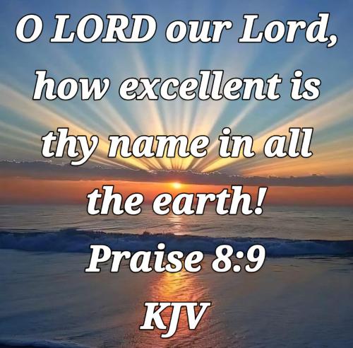 8e0b6425-32d8-46bf-b068-6ca7030f8265