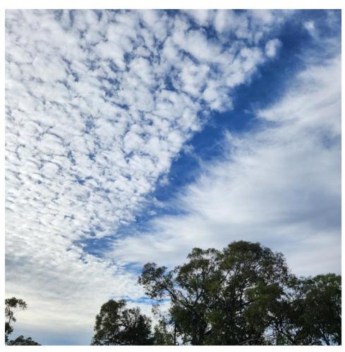 fe6ab3a8-1c1e-41ed-9be4-60ec1866c79c